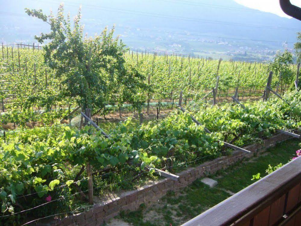 Hotel Gasthof Wastl Appiano Sulla Strada Del Vino Exterior photo